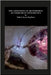 The Constants of Metaphysics: An Exercise In Apologetics by Stephens, Valerie