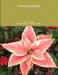 Christmas Herbs by Becky Cortino