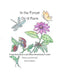 In the Forest, On a Farm by Sarah Reyburn