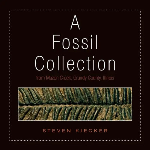 A Fossil Collection by Steven Kiecker