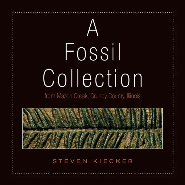 A Fossil Collection by Steven Kiecker