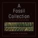 A Fossil Collection by Steven Kiecker