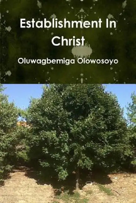 Establishment In Christ by Oluwagbemiga Olowosoyo