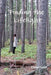 Finding The Lifelight by Claire Hyatt