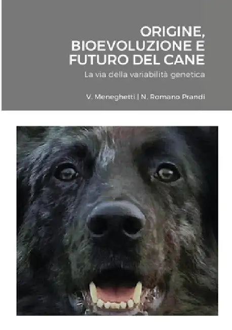 Origine, Bioevoluzione e Futuro del Cane: La via della variabilità genetica by Vittorino Meneghetti