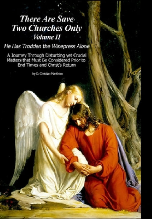 There Are Save Two Churches Only, Volume II by D. Christian Markham