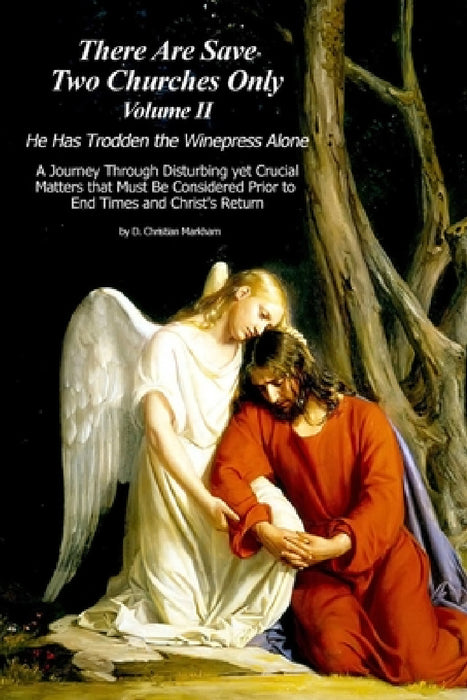 There Are Save Two Churches Only, Volume II by D. Christian Markham