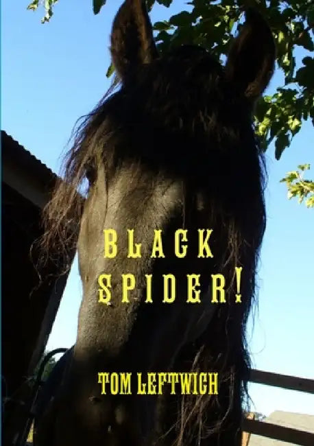 Black Spider ! by Tom Leftwich