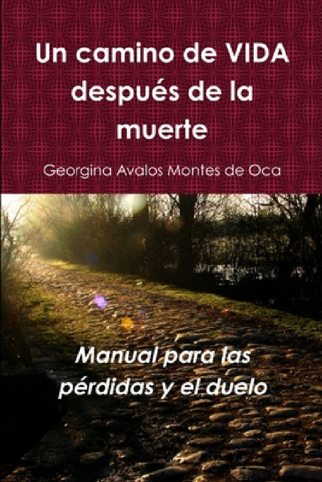 Un camino de vida después de la muerte by Georgina Avalos Montes De Oca