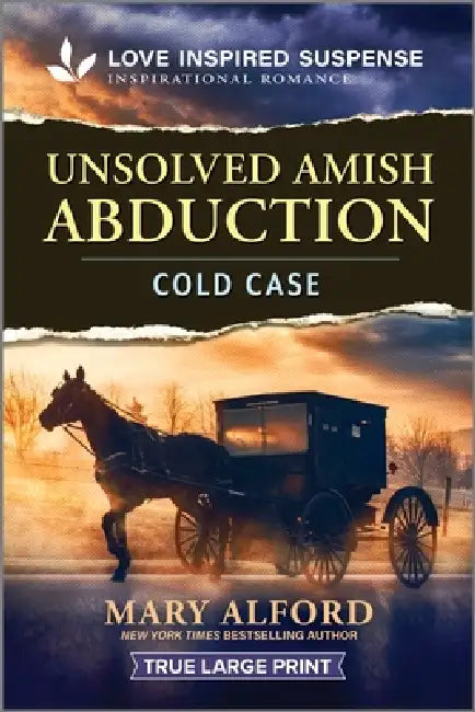 Unsolved Amish Abduction by Mary Alford