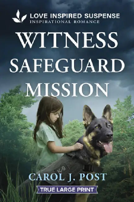 Witness Safeguard Mission by Carol J. Post