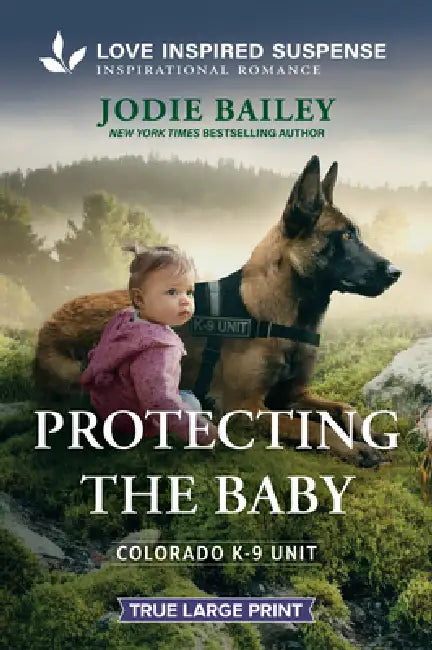 Protecting the Baby by Jodie Bailey