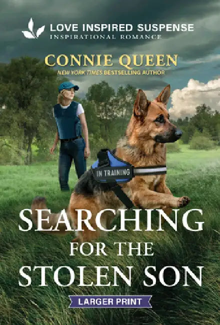 Searching for the Stolen Son by Connie Queen