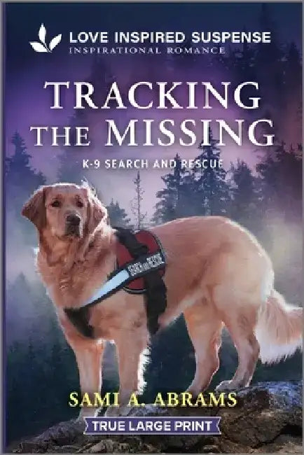 Tracking the Missing by Sami A. Abrams