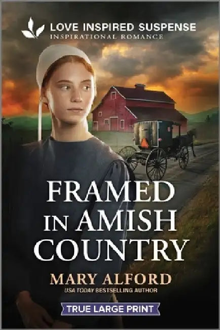 Framed in Amish Country by Mary Alford
