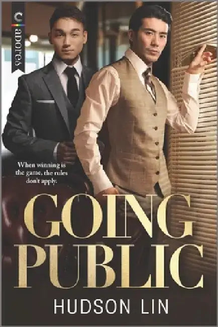 Going Public: A Workplace Romance by Hudson Lin