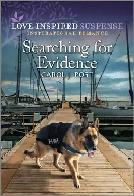 Searching for Evidence by Carol J. Post