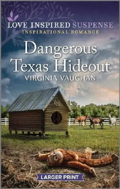 Dangerous Texas Hideout by Virginia Vaughan