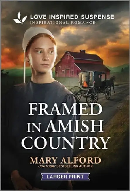 Framed in Amish Country by Mary Alford