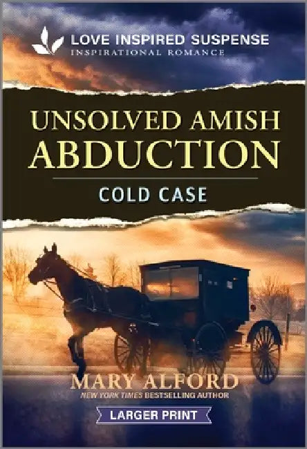 Unsolved Amish Abduction by Mary Alford