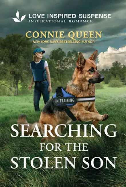 Searching for the Stolen Son by Connie Queen
