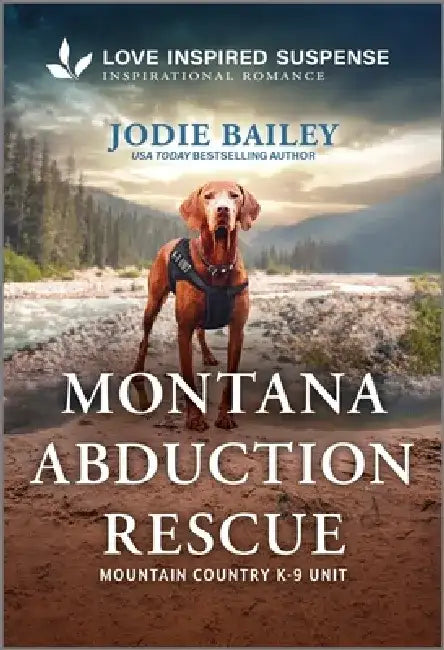 Montana Abduction Rescue by Jodie Bailey
