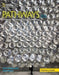 Pathways: Listening, Speaking, and Critical Thinking 3: Teacher's Guide by Rebecca Chase