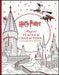 Harry Potter Magical Places & Characters Coloring Book by Scholastic