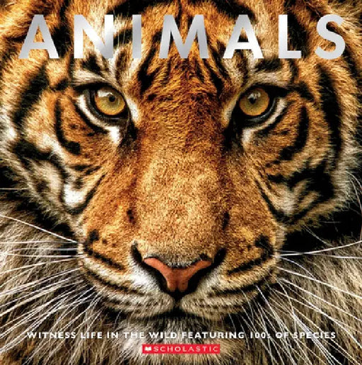 Animals: The Definitive Guide of the World's Wildlife by Scholastic