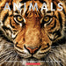 Animals: The Definitive Guide of the World's Wildlife by Scholastic