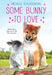 Some Bunny to Love by Michelle Schusterman