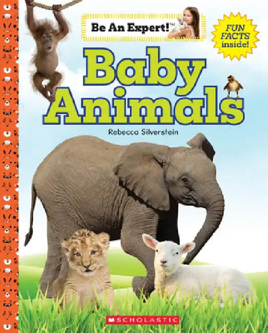 Baby Animals (Be an Expert!) by Rebecca Silverstein