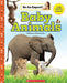 Baby Animals (Be an Expert!) by Rebecca Silverstein
