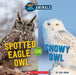 Hot and Cold Animals #3: Snowy Owl or Spotted-Eagle Owl by Eric Geron