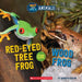 Hot and Cold Animals #5: Wood Frog or Red-Eyed Tree Frog by Marilyn Easton