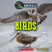 Fast and Slow: Birds by Brenna Maloney