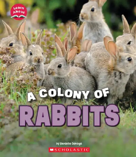A Colony of Rabbits (Learn About: Animals) by Danielle Denega