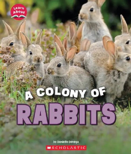 A Fluffle of Rabbits (Learn About: Animals) by Danielle Denega