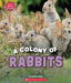 A Fluffle of Rabbits (Learn About: Animals) by Danielle Denega