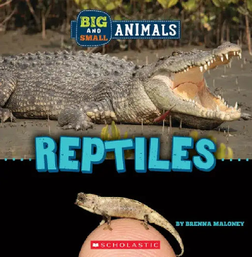 Reptiles (Wild World: Big and Small Animals) by Brenna Maloney