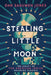 Stealing Little Moon: The Legacy of American Indian Residential Schools: The Legacy of American Indian Residential Schools by Dan Sasuweh Jones