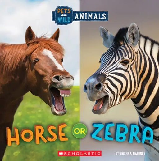Horse or Zebra (Wild World: Pets and Wild Animals) by Brenna Maloney