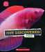 Just Discovered Fish (Learn About: Animals) by Claire Caprioli