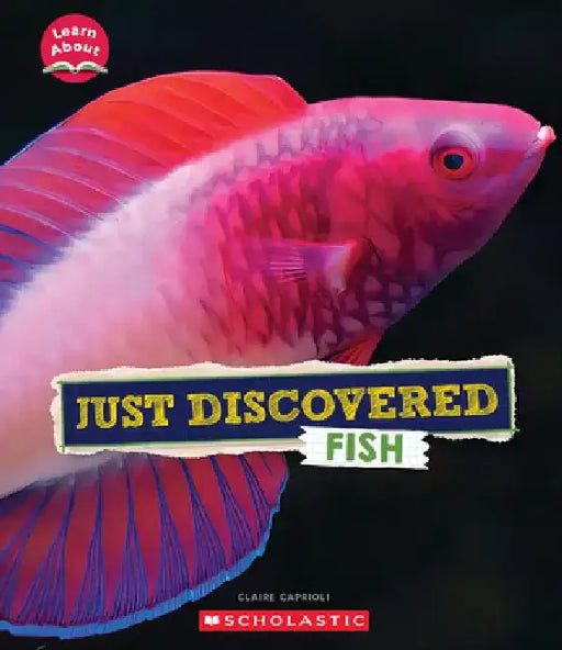 Just Discovered Fish (Learn About: Animals) by Claire Caprioli