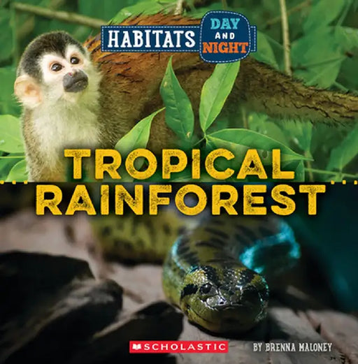 Rainforest (Wild World: Habitats Day and Night) by Brenna Maloney