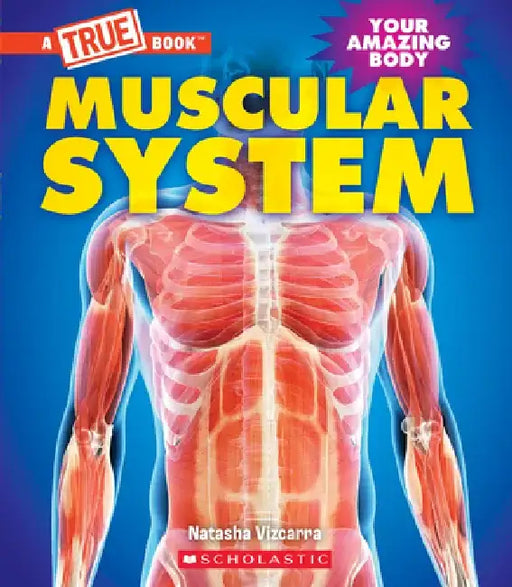Muscular System (a True Book: Your Amazing Body) by Natasha Vizcarra