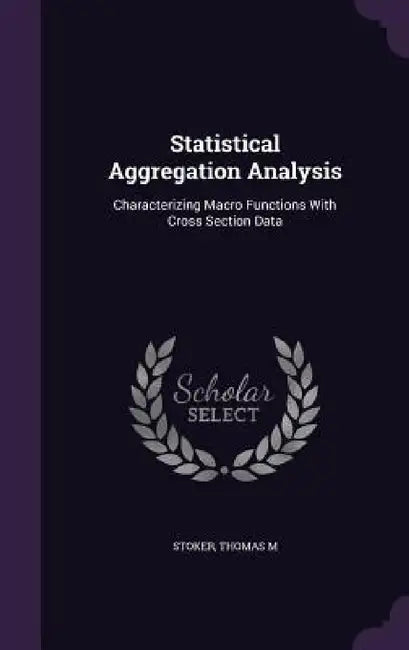 Statistical Aggregation Analysis: Characterizing Macro Functions With Cross Section Data by Thomas M. Stoker