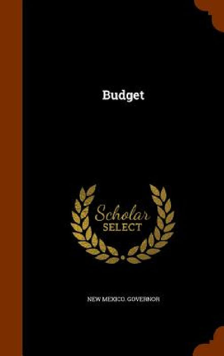 Budget by New Mexico Governor