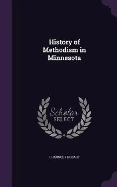 History of Methodism in Minnesota by Chauncey Hobart