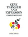 Gene Transfer and Expression: A Laboratory Manual by Michael Kriegler